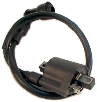 Котушка запалювання на мотоцикл skymoto BIRD 125, skybike BURN, Китай Котушка запалювання на мотоцикл skymoto BIRD 125, skybike BURN, Китай