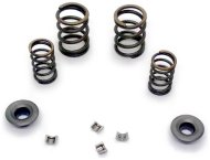 Пружина клапана на пітбайк KAYO TT-125, (к-т) оригінал, Китай Пружина клапана на пітбайк KAYO TT-125, (к-т) оригінал, Китай