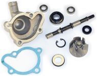 Водяний насос, помпа на квадроцикл skymoto BEAR-250, оригінал QINGQI, Китай