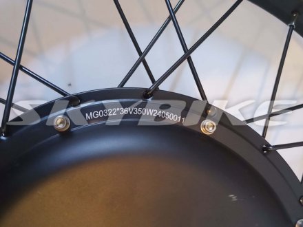 Мотор-колесо 36V 350W (переднє) на електровелосипед 3-CYCL, skymoto HAPPY, Китай