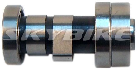 Распредвал , новые оригинальные запчасти на мототрицикл, мопед, скутеретта, мотоцикл, квадроцикл skymoto HERCULES 110, COLT-110, PEGAS-110, ТРИЦИКЛ-110, ATV-110, китай Распредвал , новые оригинальные запчасти на мототрицикл, мопед, скутеретта, мотоцикл, квадроцикл skymoto HERCULES 110, COLT-110, PEGAS-110, ТРИЦИКЛ-110, ATV-110, китай