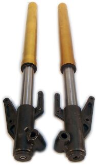 Амортизатор передній комплект, пір'я вилки, нові оригінальні запчастини QINGQI на мотоцикл skymoto WOLF-200, WOLF-250, китай