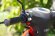 Скутер SKYBIKE XJ 150 Скутер SKYBIKE XJ 150