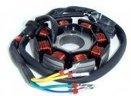 Магнетто, генератор на мотоцикл KAYO T2, ZS169FMM, оригінал ZONGSHEN Магнетто, генератор на мотоцикл KAYO T2, ZS169FMM, оригінал ZONGSHEN