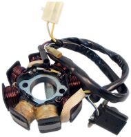 Магнетто, генератор двигуна 139QMB на скутер skymoto SOLO-50, HAPPY-50, PHOENIX-50, Китай Магнетто, генератор двигуна 139QMB на скутер skymoto SOLO-50, HAPPY-50, PHOENIX-50, Китай