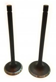 Клапана на мотоцикл STATUS-200, RENEGADE-200 (к-т), оригінал, Китай Клапана на мотоцикл STATUS-200, RENEGADE-200 (к-т), оригінал, Китай