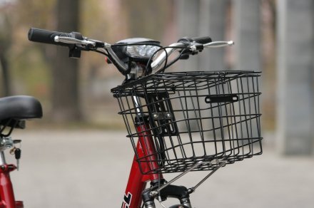 Электровелосипед SKYBIKE 3-CYCL (350W-36V) красный