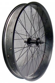 Диск передній на електрофетбайк Skybike Calcutta, Китай