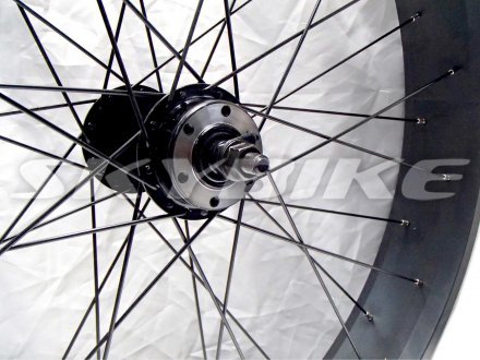 Диск передній на електрофетбайк Skybike Calcutta, Китай