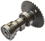 Розподільчий вал, запчастини на скутер, максискутер, моторолер skymoto BRAVO-150. Розподільчий вал, запчастини на скутер, максискутер, моторолер skymoto BRAVO-150.