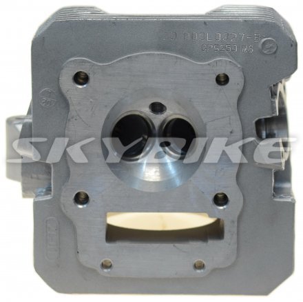 Головка циліндра на мотоцикл KAYO T4, ZS172FMM-3А(СВ250-F), оригінал ZONGSHEN, Китай