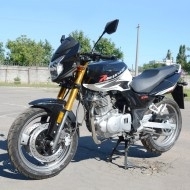 Запчастини для мотоциклів WOLF-250; QM250-2D