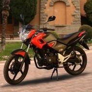 Запчастини до мотоцикла Skymoto TIGER-200