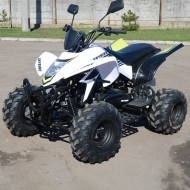 Запчастини для квадроциклів Skybike STINGER-150, RT150ST