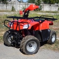 Запчастини для квадроциклів Skymoto PUMA-110