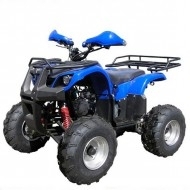 Запчастини для квадроциклів Skymoto PANDA-110, XYST405T