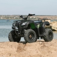 Запчастини для квадроциклів Skybike HYPER-200, U28-Y170