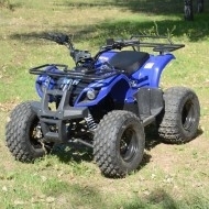 Запчастини для квадроциклів Skybike HYPER-110, Y38-Y110