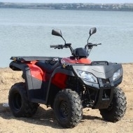 Запчастини для квадроциклів Skybike EXPERT-250, RT250ST