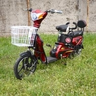 Запчастини на електровелосипед Skybike ELF-2